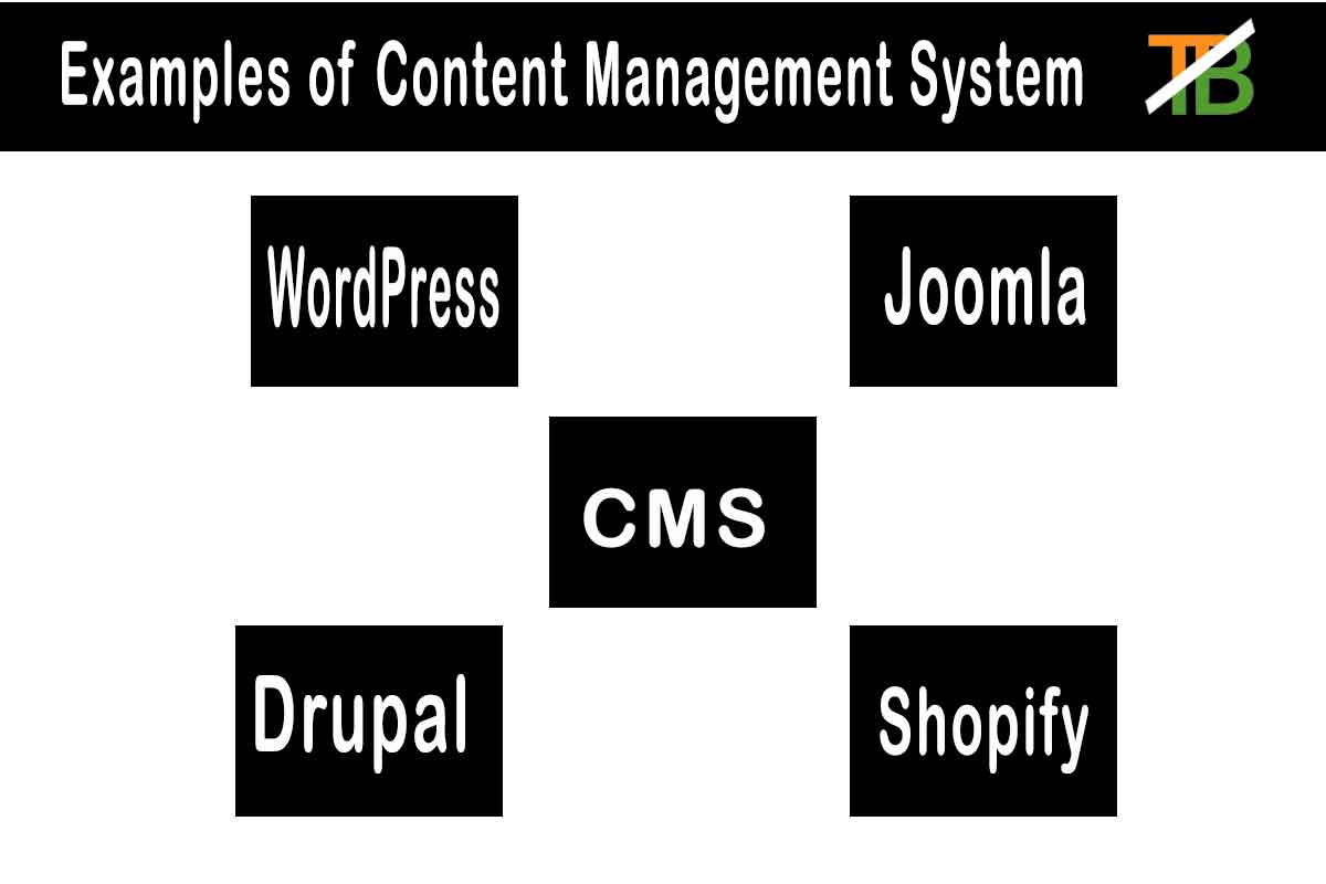 cms, what is cms, Content Management System, What is Content Management System, types of Content management system, example of cms, example of content management system